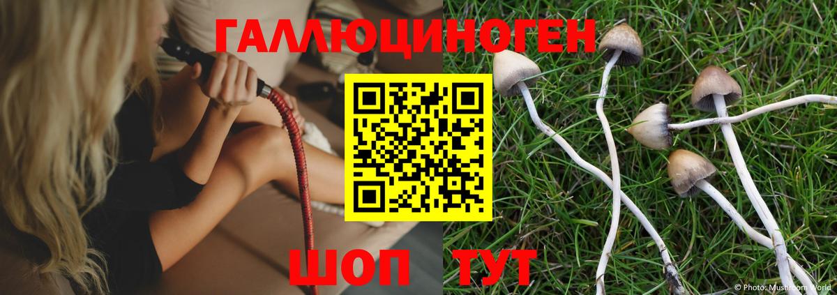 Галлюциногенные грибы MAGIC MUSHROOMS  Вход с VPN  Псилоцибиновые грибы Psilocybine cubensis  Пыть-Ях 